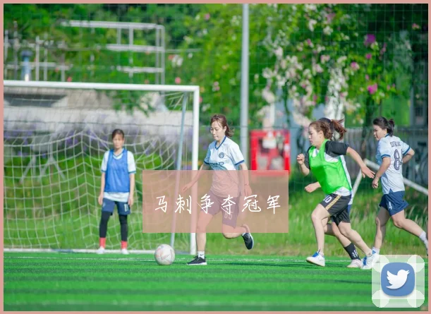 马刺争夺冠军