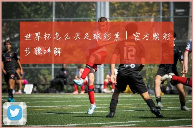 世界杯怎么买足球彩票｜官方购彩步骤详解