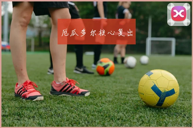 厄瓜多尔核心复出