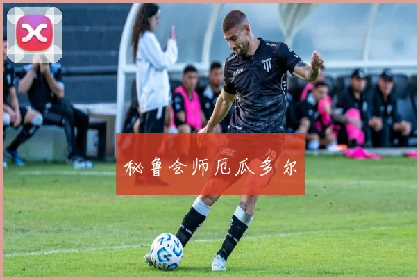 秘鲁会师厄瓜多尔