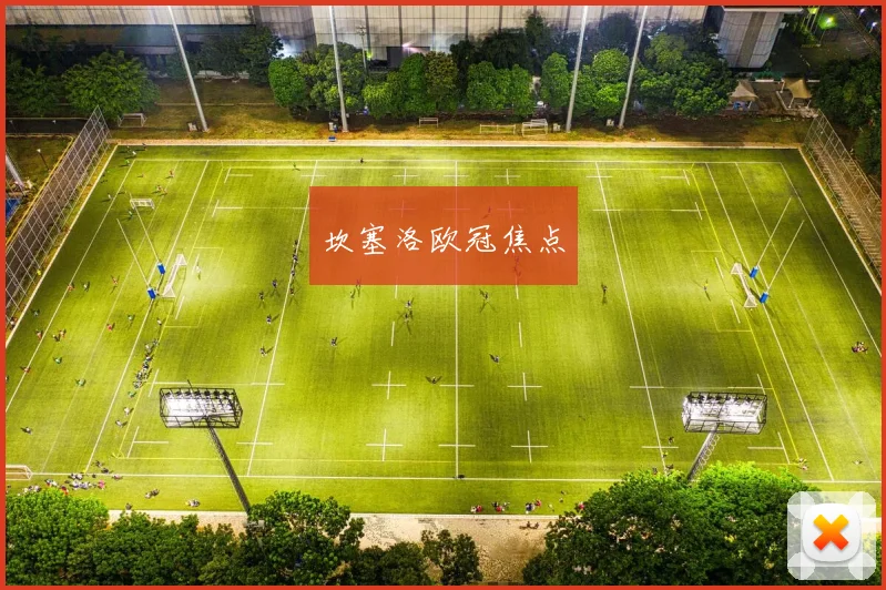 坎塞洛欧冠焦点