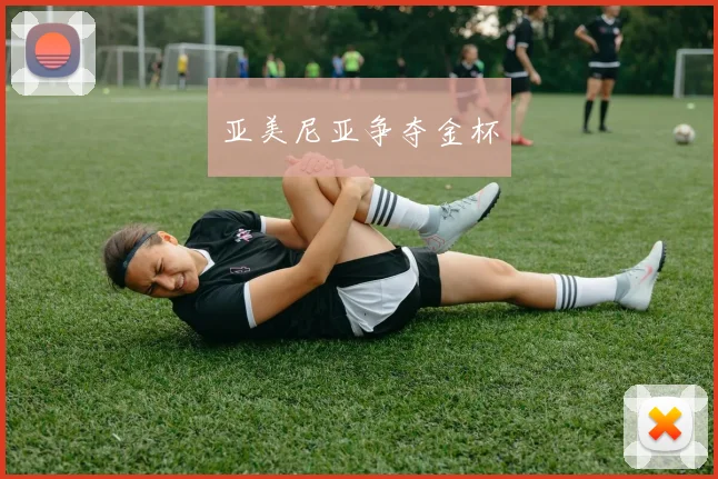 亚美尼亚争夺金杯