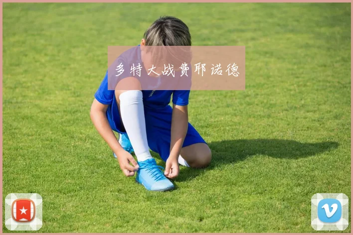 多特大战费耶诺德