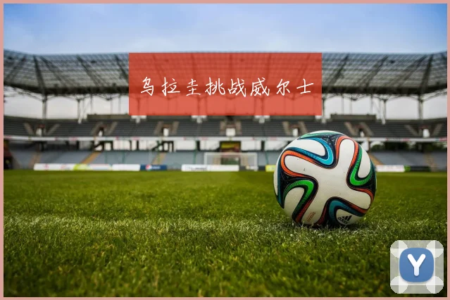 乌拉圭挑战威尔士