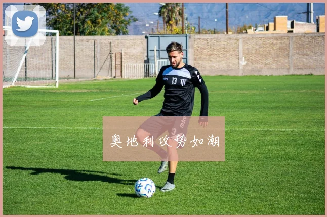 奥地利攻势如潮