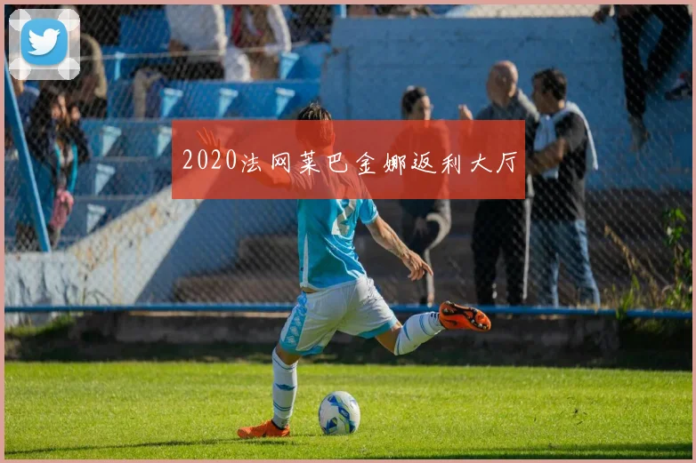 2020法网莱巴金娜返利大厅
