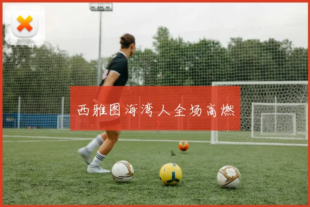西雅图海湾人全场高燃